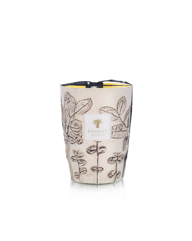 BAOBAB - FOLIA CALANQUE MAX24