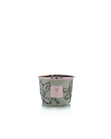 BAOBAB -FOLIA MAQUIS MAX10