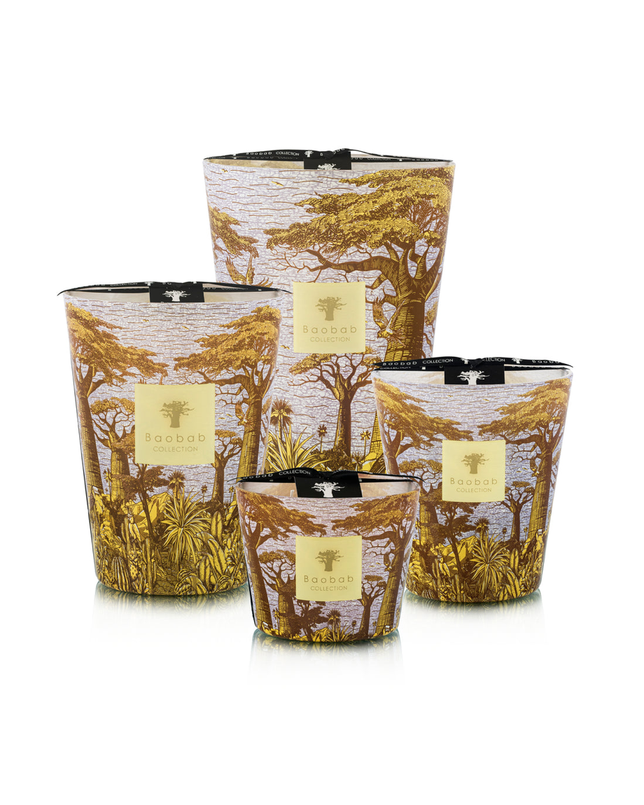 BAOBAB -SACRED TREES COCODY MAX16
