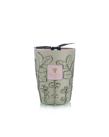 BAOBAB -FOLIA MAQUIS MAX24